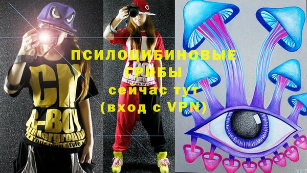 прущие грибы Россошь