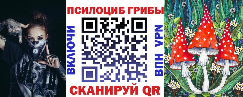 закладка  Лыткарино  мориарти формула  Псилоцибиновые грибы Magic Shrooms 